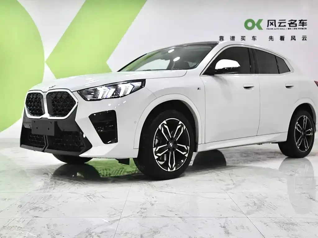 BMW X2 (Import) 2024 из CN, фото 1