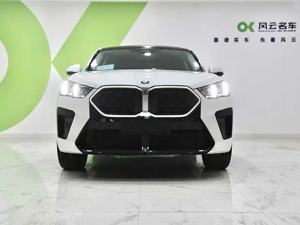 BMW X2 (Import) 2024 из CN, фото 2