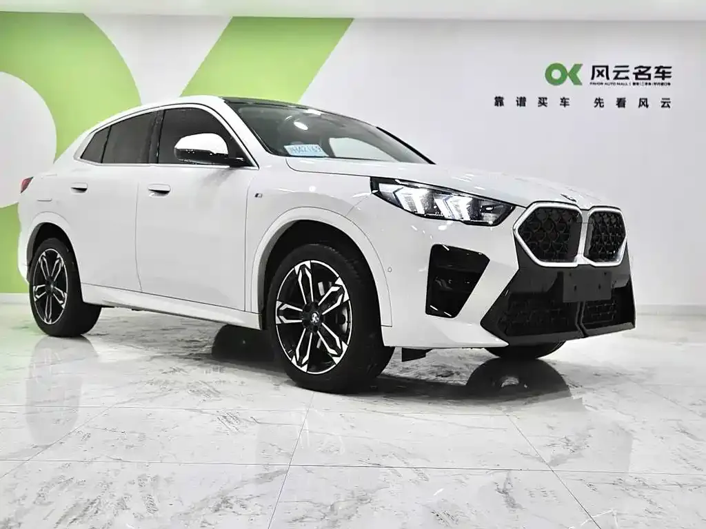 BMW X2 (Import) 2024 из CN, фото 3