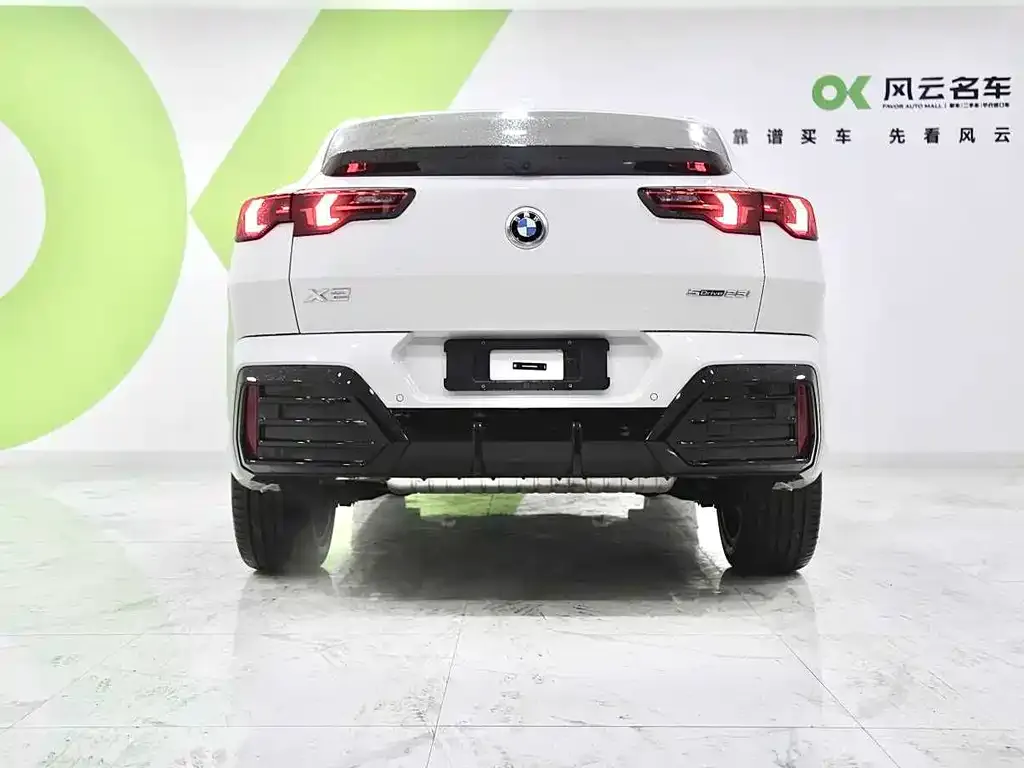 BMW X2 (Import) 2024 из CN, фото 5