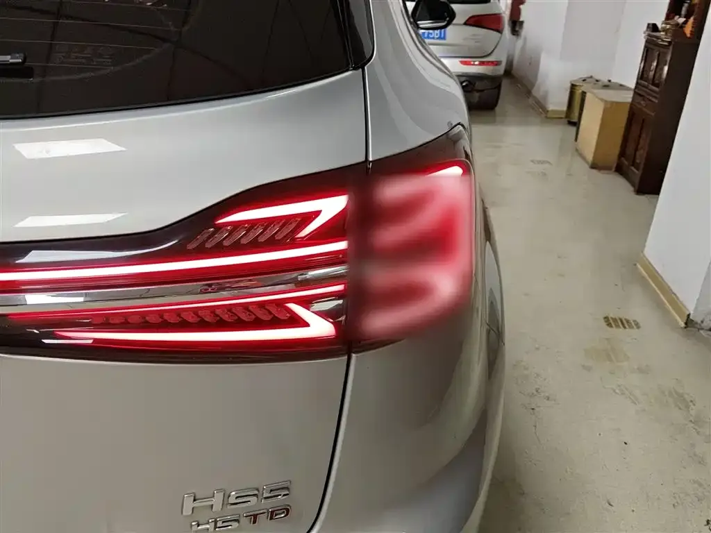 Hongqi HS5 2023 из CN, фото 8