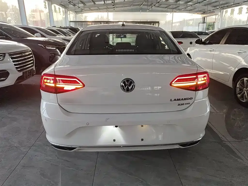 Volkswagen Lamando 2021 из CN, фото 6