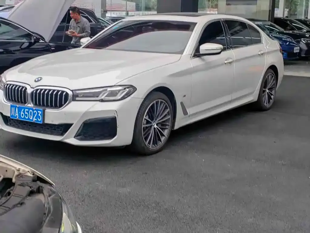 BMW 5 Series 2022 из CN, фото 1