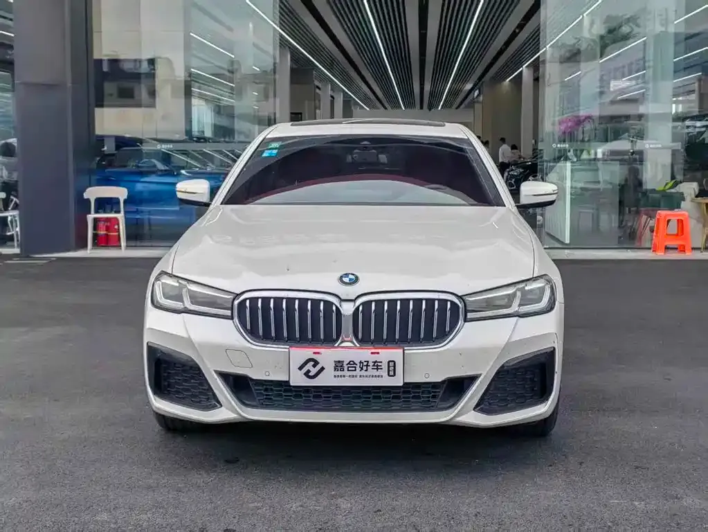 BMW 5 Series 2022 из CN, фото 2