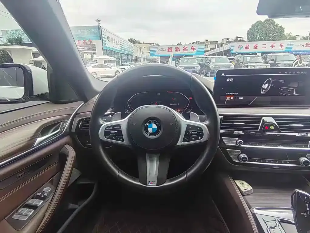 BMW 5 Series 2022 из CN, фото 8
