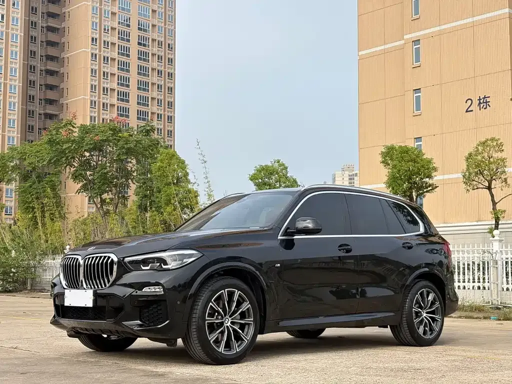 BMW X5 (Import) 2021 из CN, фото 1