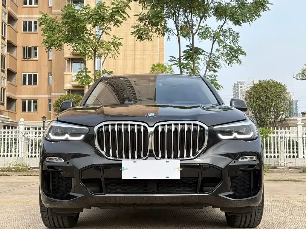 BMW X5 (Import) 2021 из CN, фото 2