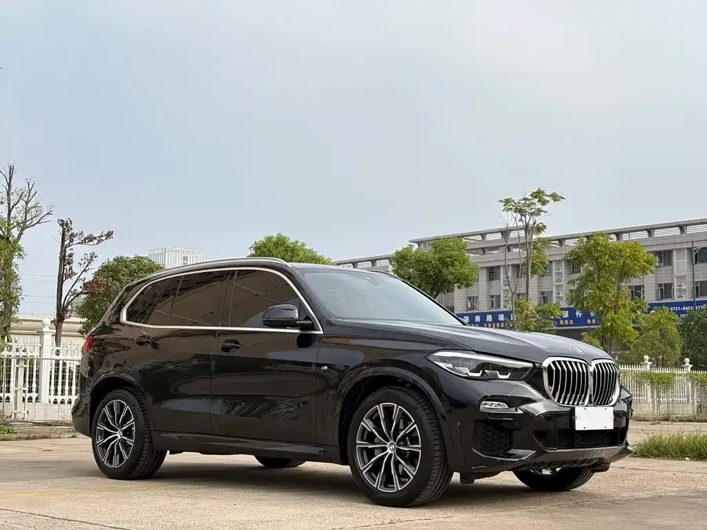 BMW X5 (Import) 2021 из CN, фото 3