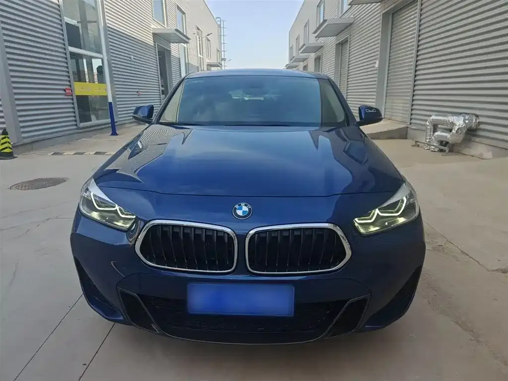 BMW X2 2022 из CN, фото 3