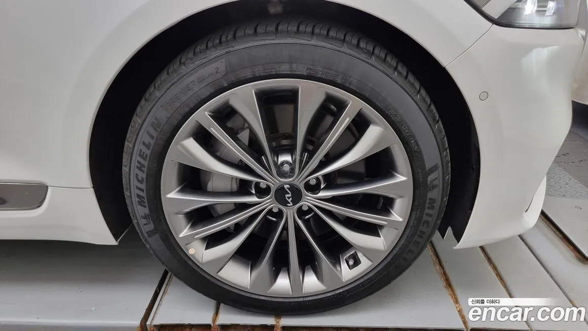 [object Object] K9 2023 из KR, фото 5