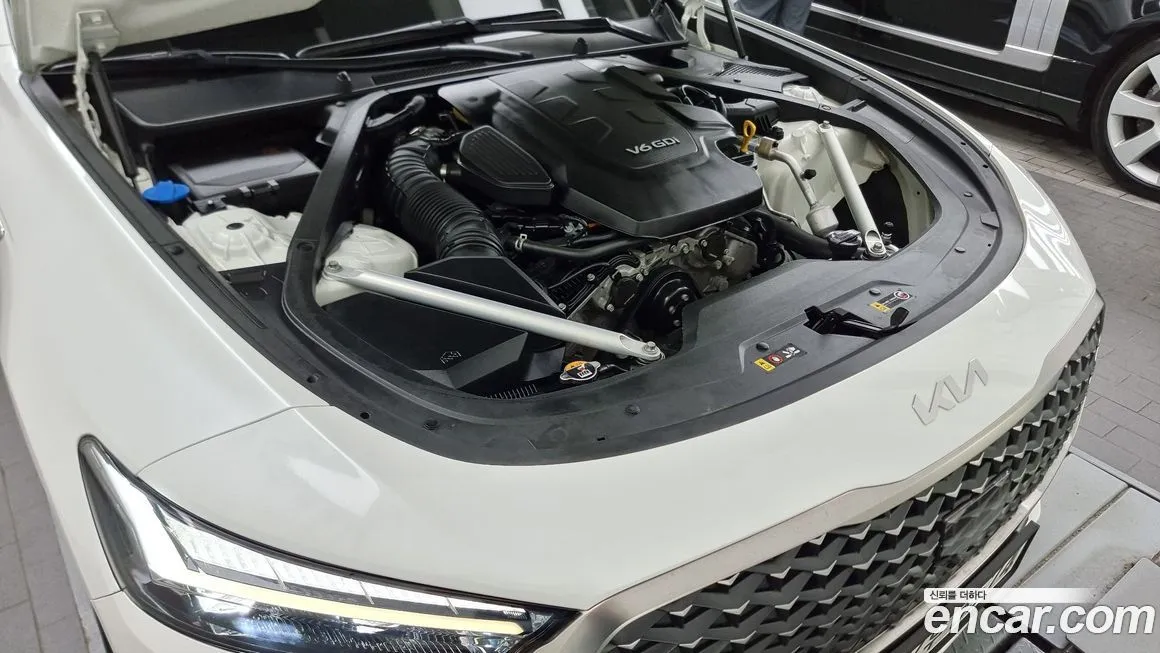 [object Object] K9 2023 из KR, фото 6