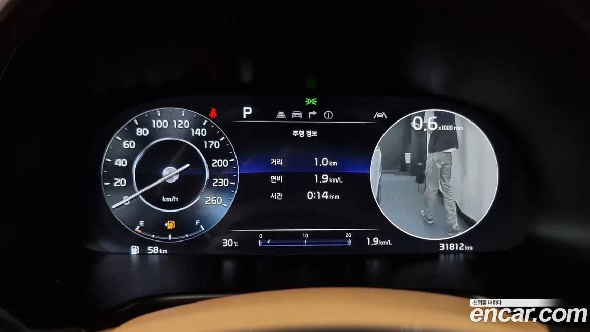 [object Object] K9 2023 из KR, фото 8