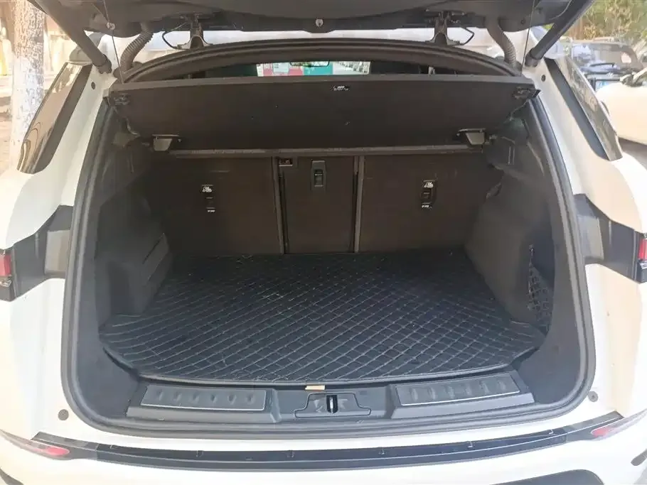 Land Rover Evoque 2021 из CN, фото 4
