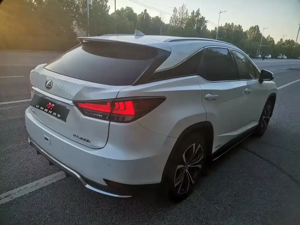 Lexus RX 2021 из CN, фото 5