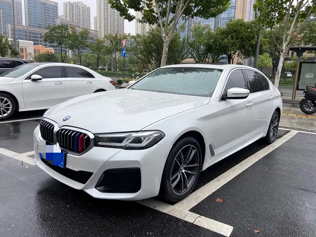 BMW 5 Series 2021 из CN, фото 1