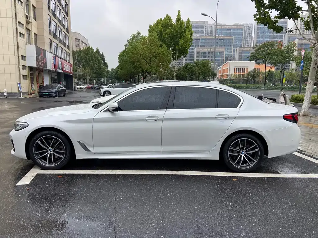 BMW 5 Series 2021 из CN, фото 10