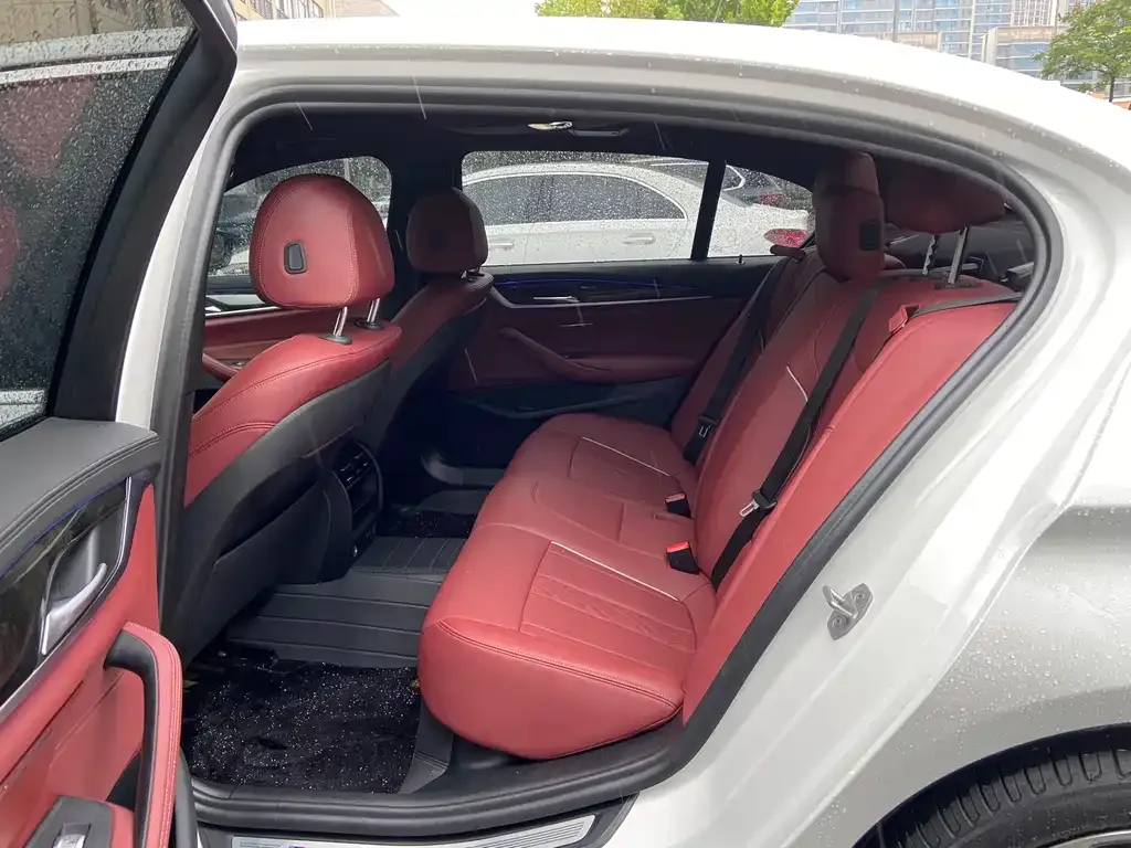 BMW 5 Series 2021 из CN, фото 3