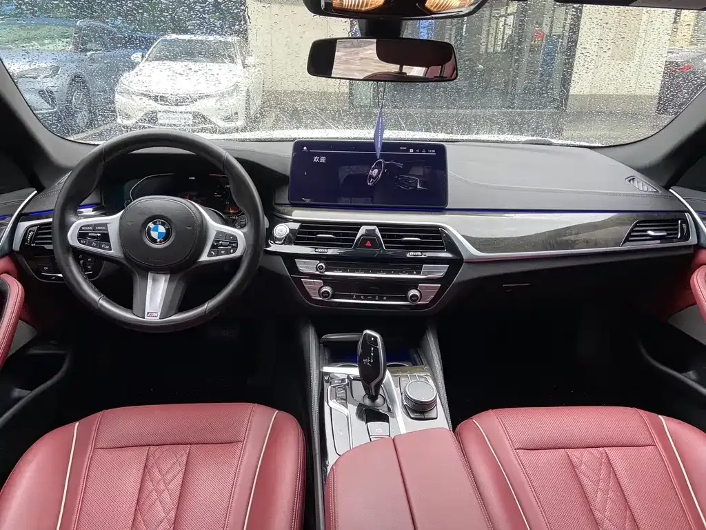 BMW 5 Series 2021 из CN, фото 5