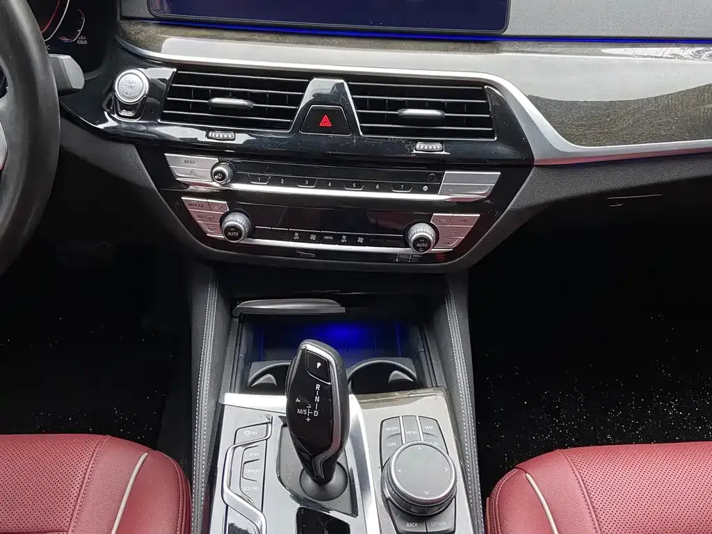 BMW 5 Series 2021 из CN, фото 6