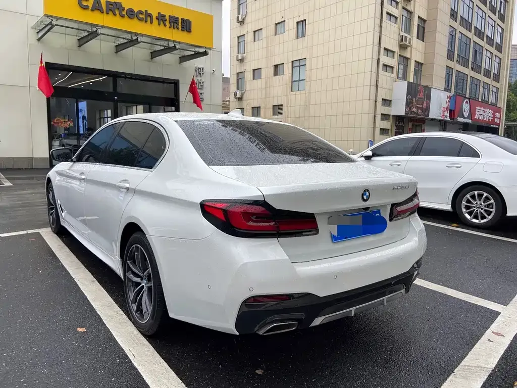 BMW 5 Series 2021 из CN, фото 9