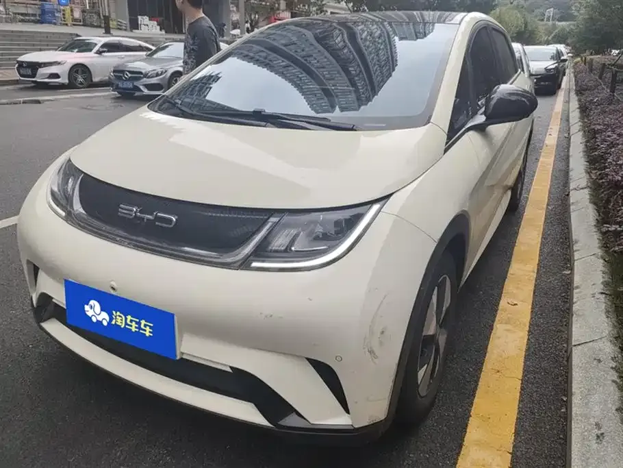 BYD Dolphin 2024 из CN, фото 1