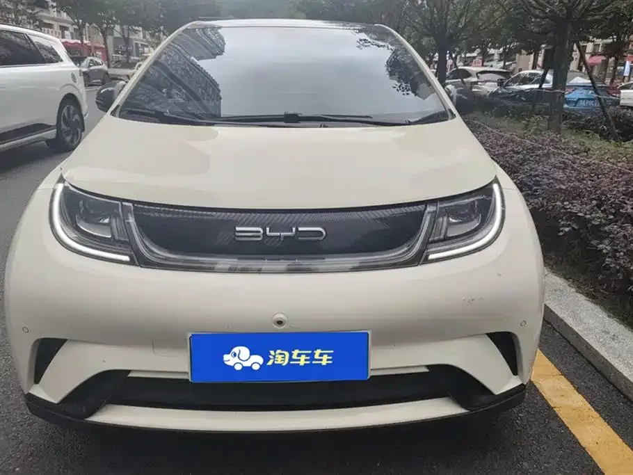 BYD Dolphin 2024 из CN, фото 2