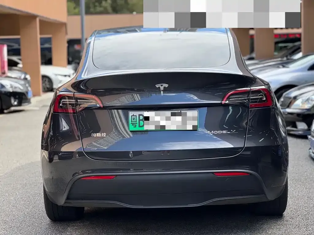 Tesla Model Y 2024 из CN, фото 6