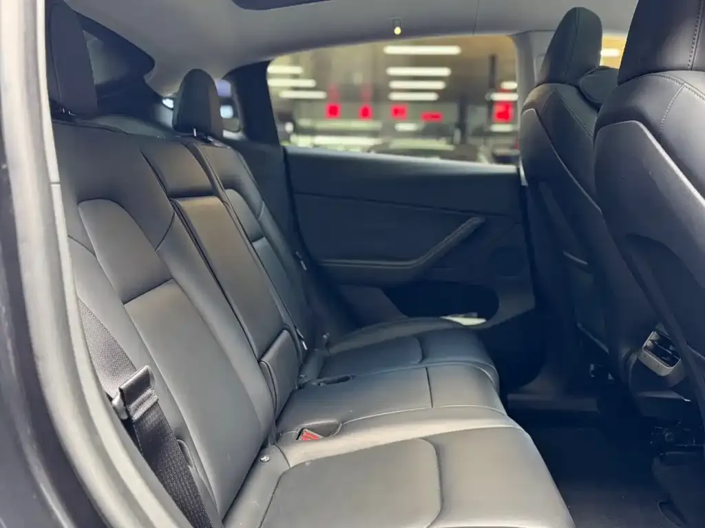 Tesla Model Y 2024 из CN, фото 9