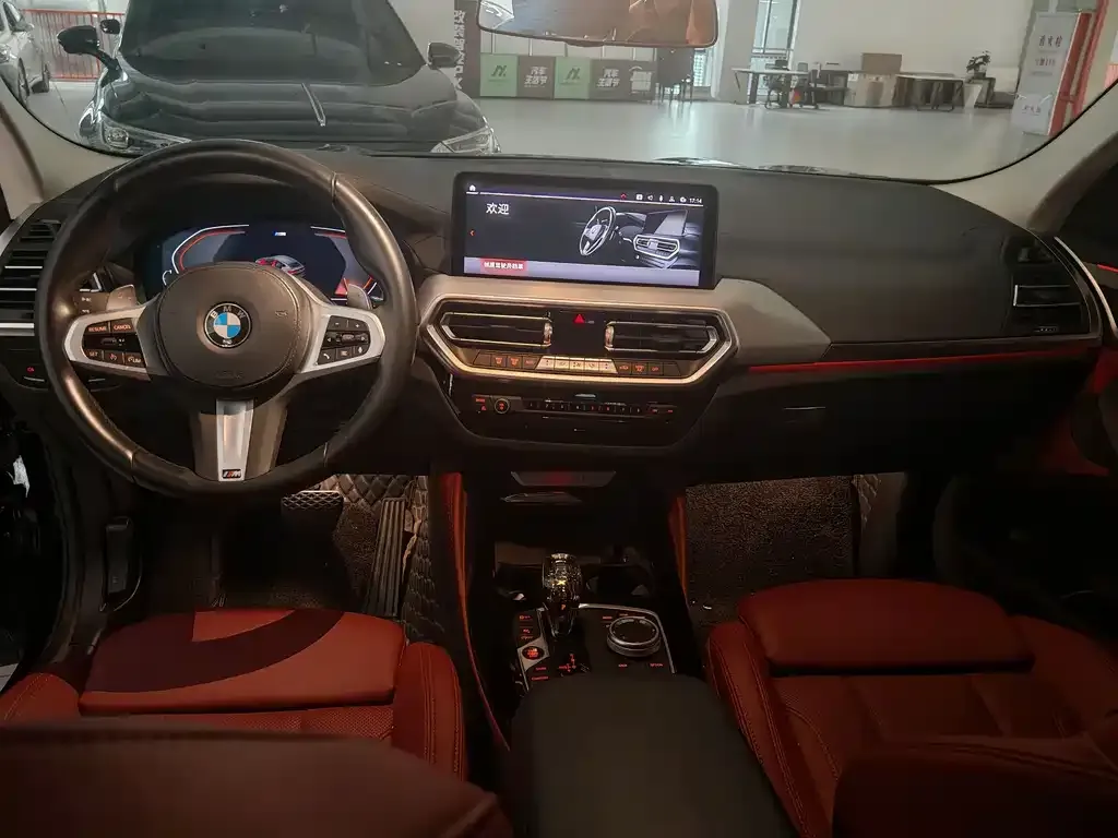 BMW X4 2023 из CN, фото 3