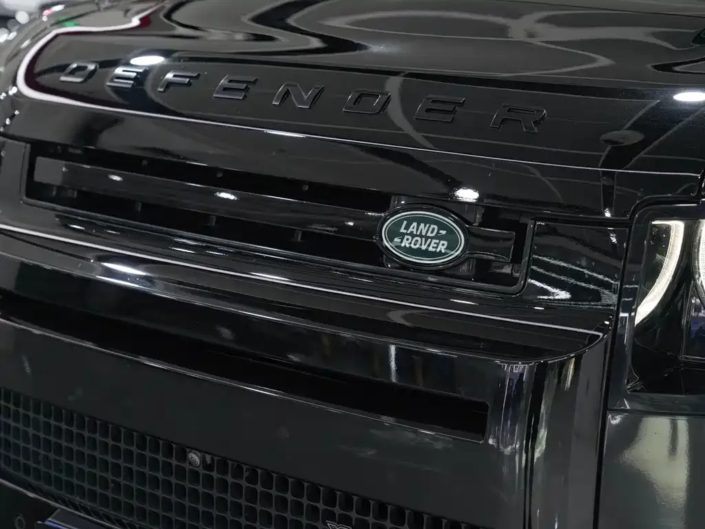 Land Rover Defender 2023 из CN, фото 4