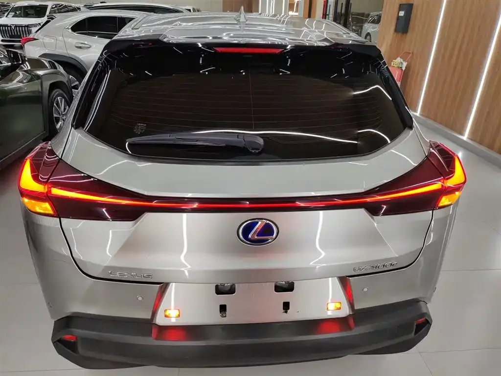 Lexus UX New Energy 2022 из CN, фото 6