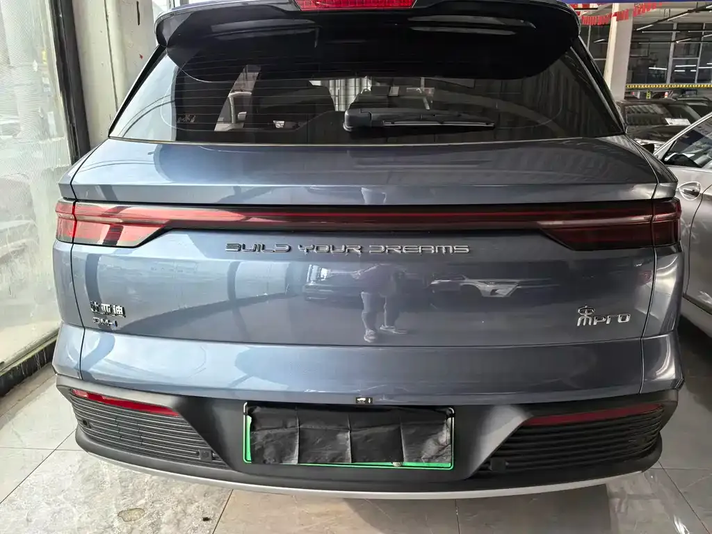 BYD Pro New Energy 2025 из CN, фото 5
