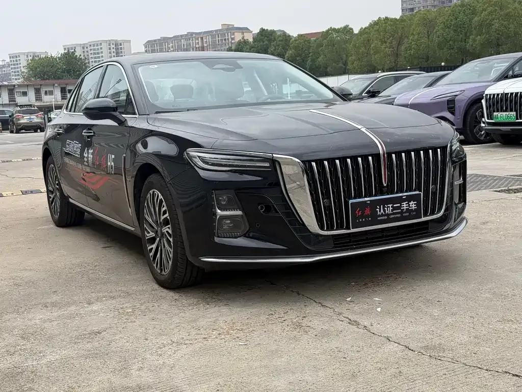 Hongqi H5 2024 из CN, фото 3