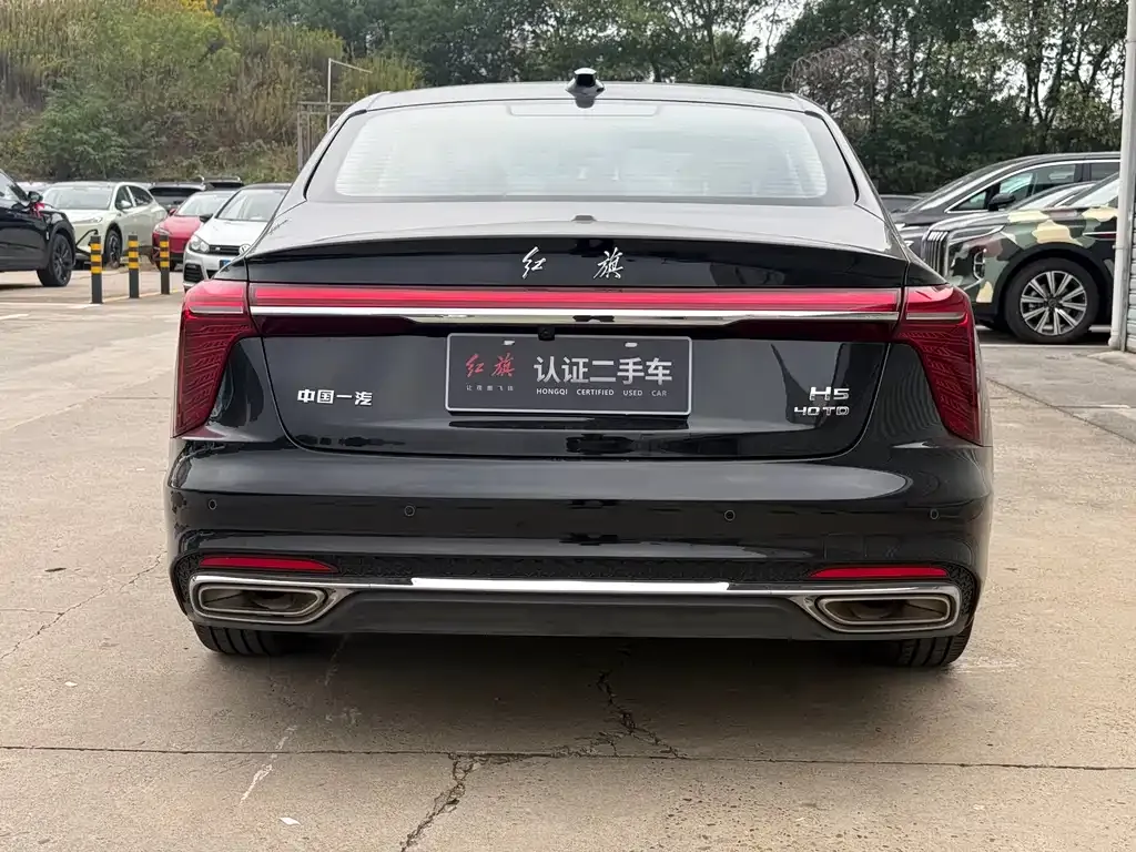 Hongqi H5 2024 из CN, фото 5