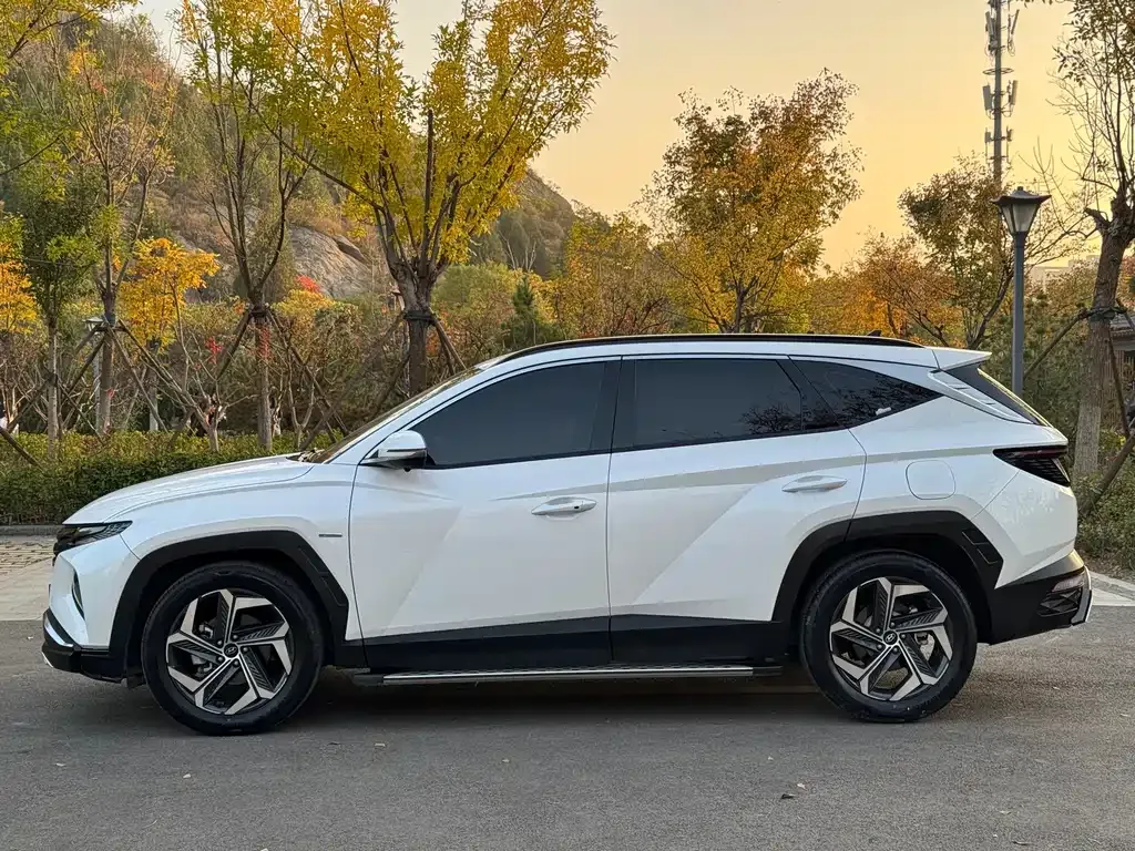 Hyundai Tucson 2021 из CN, фото 4