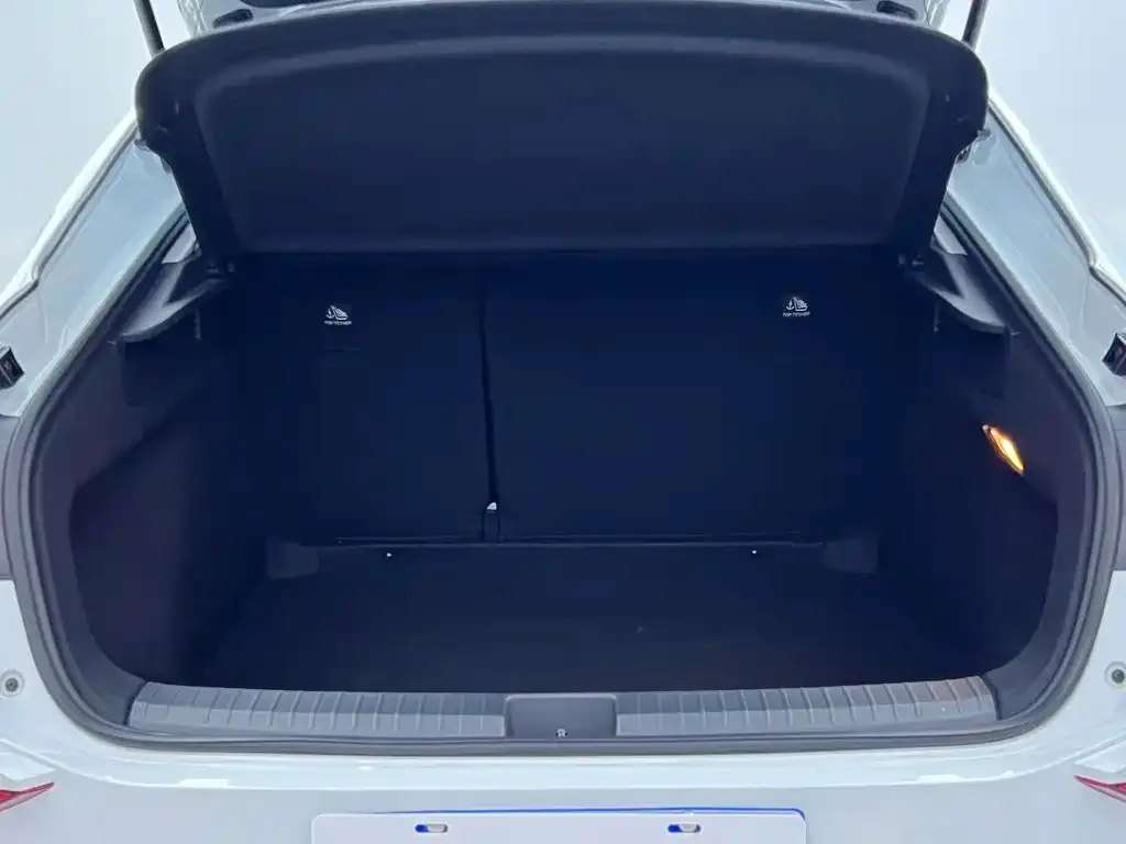 Volkswagen Lamando 2024 из CN, фото 6