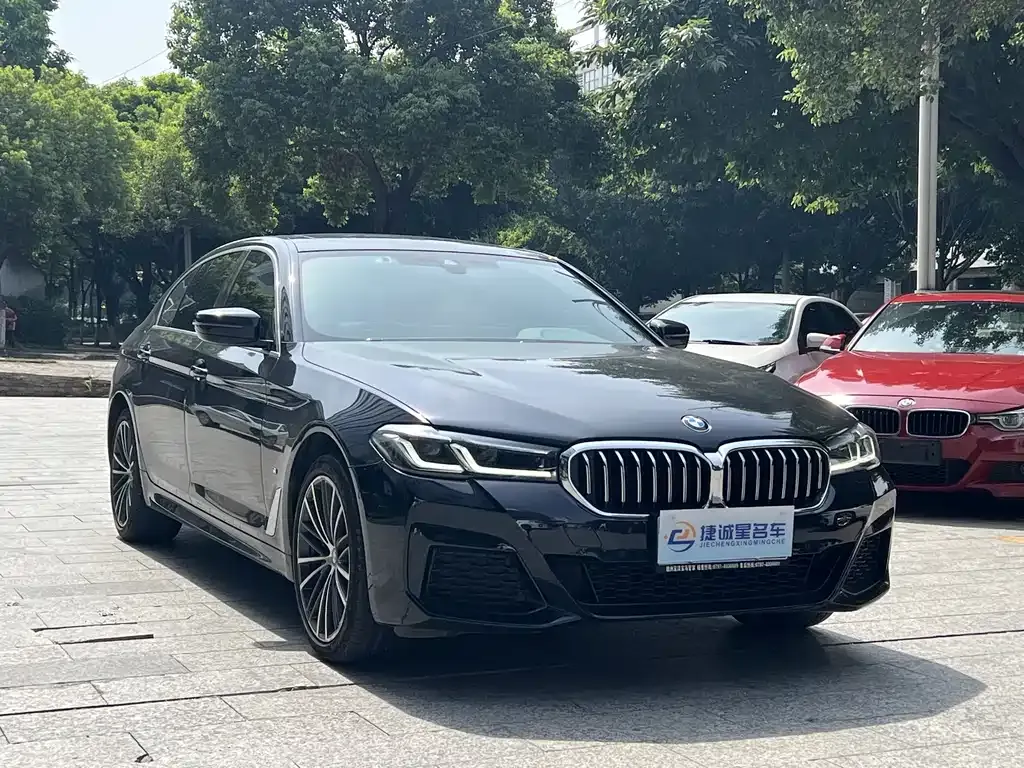 BMW 5 Series 2023 из CN, фото 3