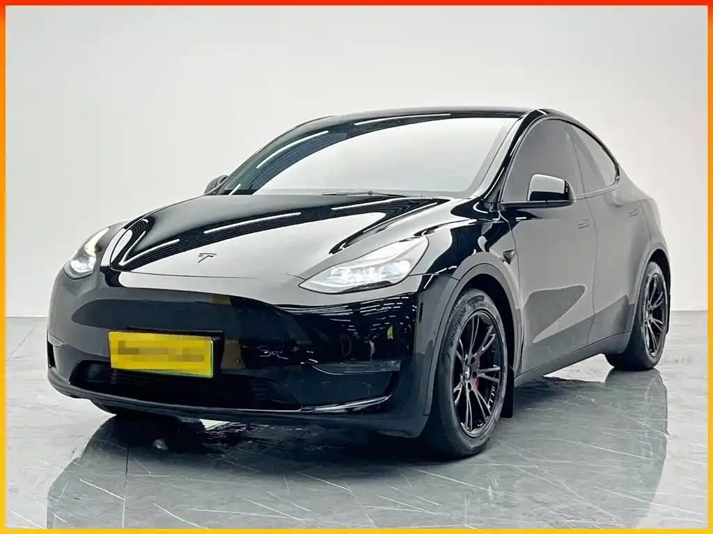 Tesla Model Y 2022 из CN, фото 1