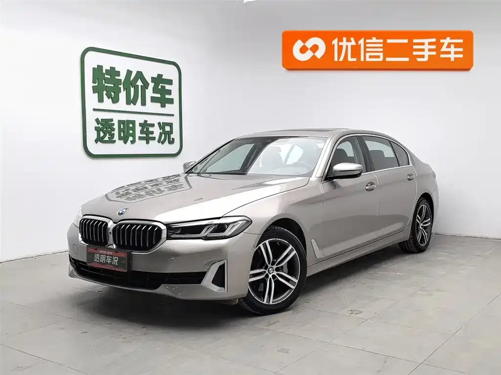 BMW 5 Series 2021 из CN, фото 1
