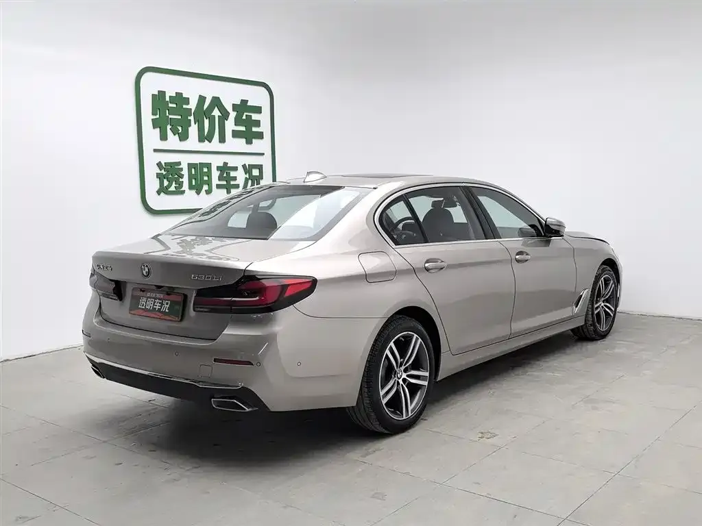 BMW 5 Series 2021 из CN, фото 2