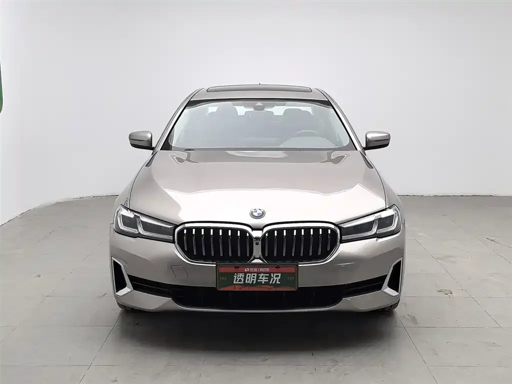 BMW 5 Series 2021 из CN, фото 3