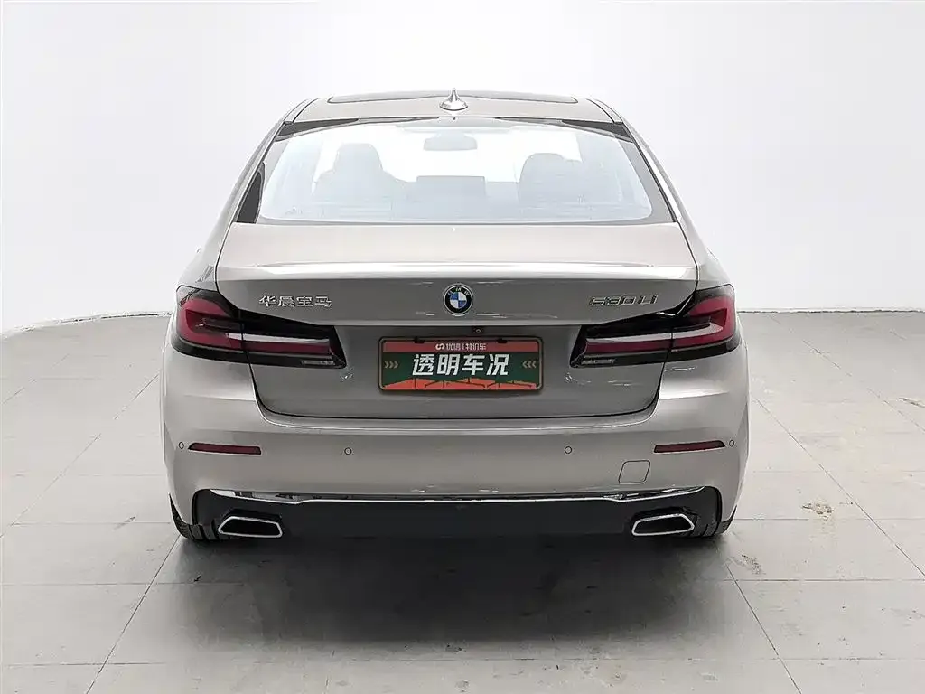BMW 5 Series 2021 из CN, фото 4