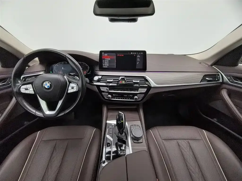 BMW 5 Series 2021 из CN, фото 5