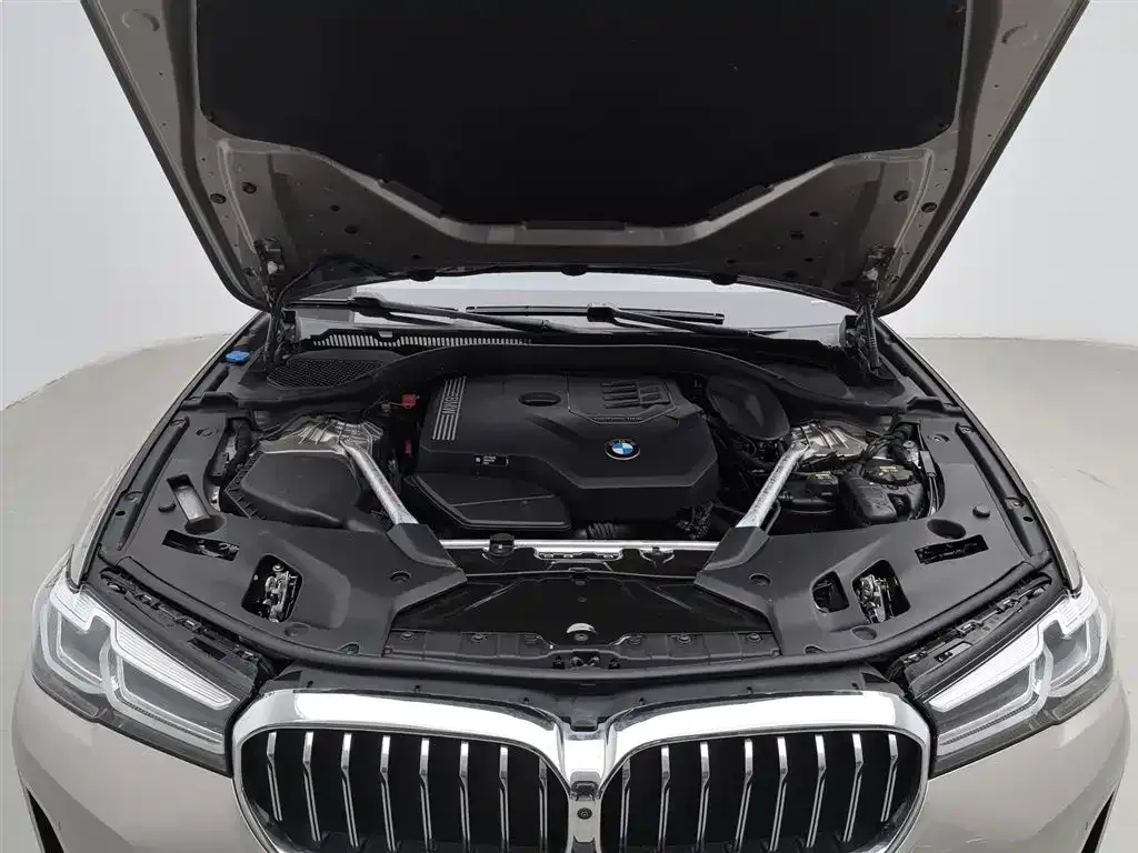 BMW 5 Series 2021 из CN, фото 6