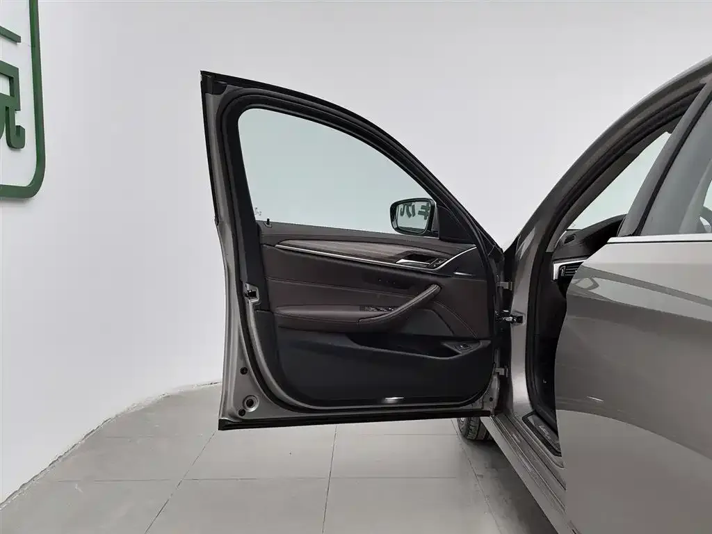 BMW 5 Series 2021 из CN, фото 8