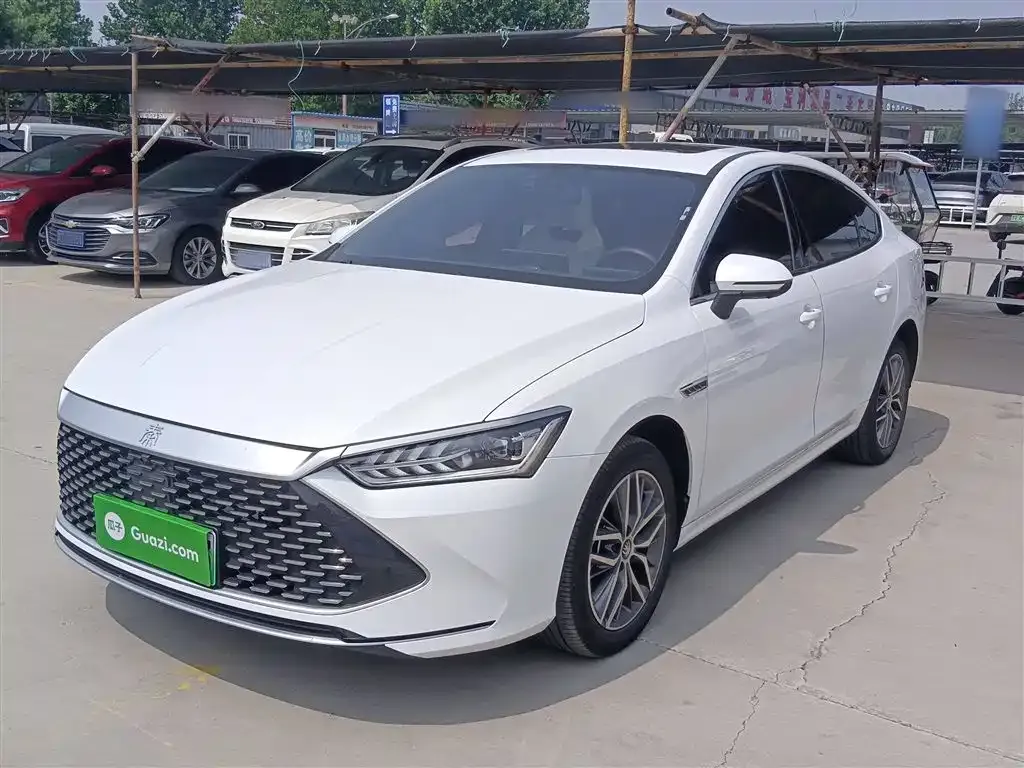 BYD Qin PLUS 2024 из CN, фото 1