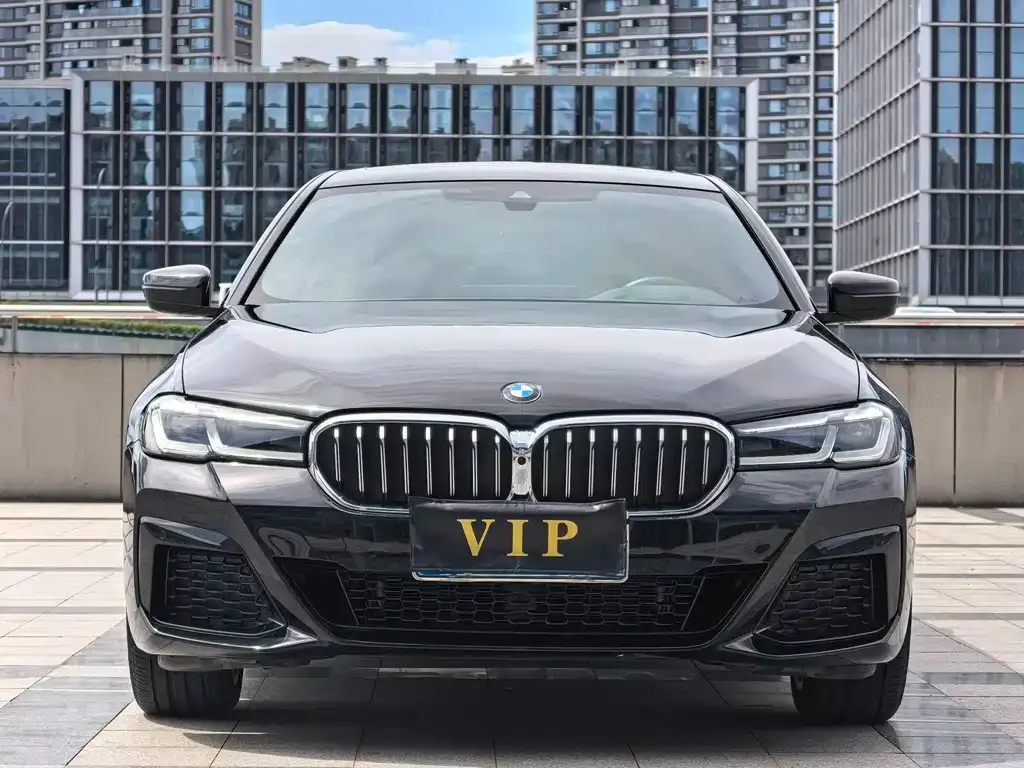 BMW 5 Series 2023 из CN, фото 1