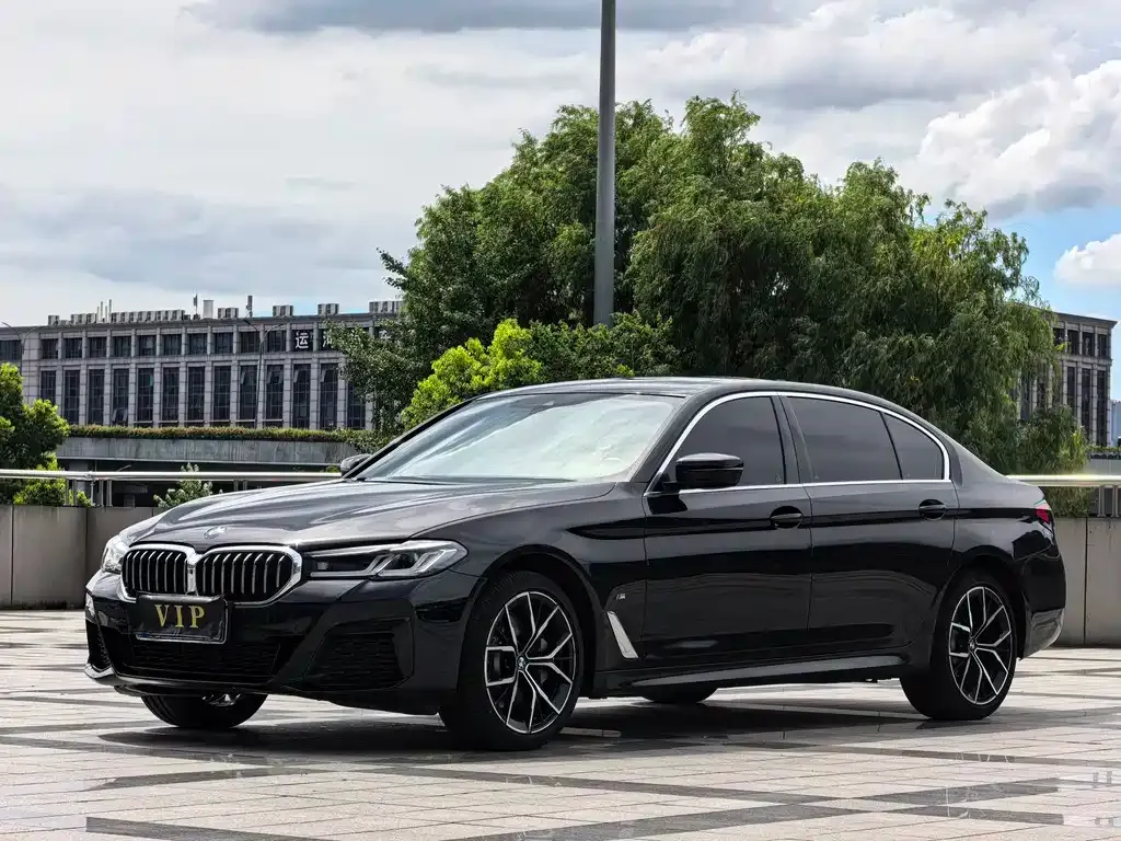 BMW 5 Series 2023 из CN, фото 2