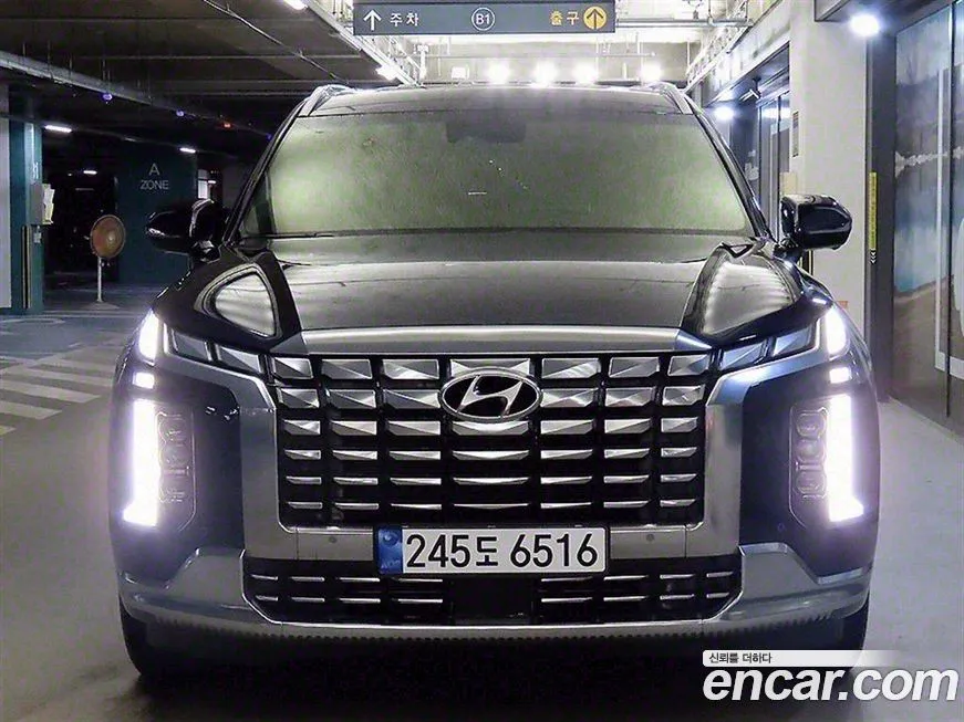 [object Object] Palisade 2023 из KR, фото 2