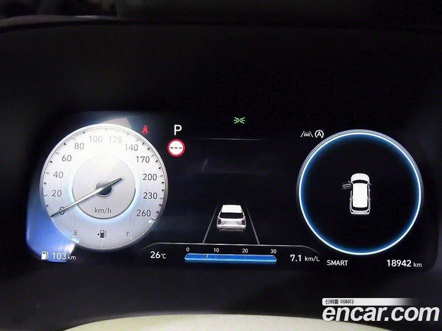 [object Object] Palisade 2023 из KR, фото 9